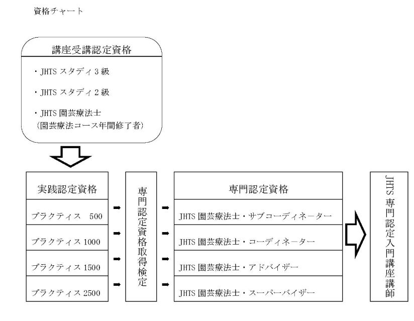資格認定チャート